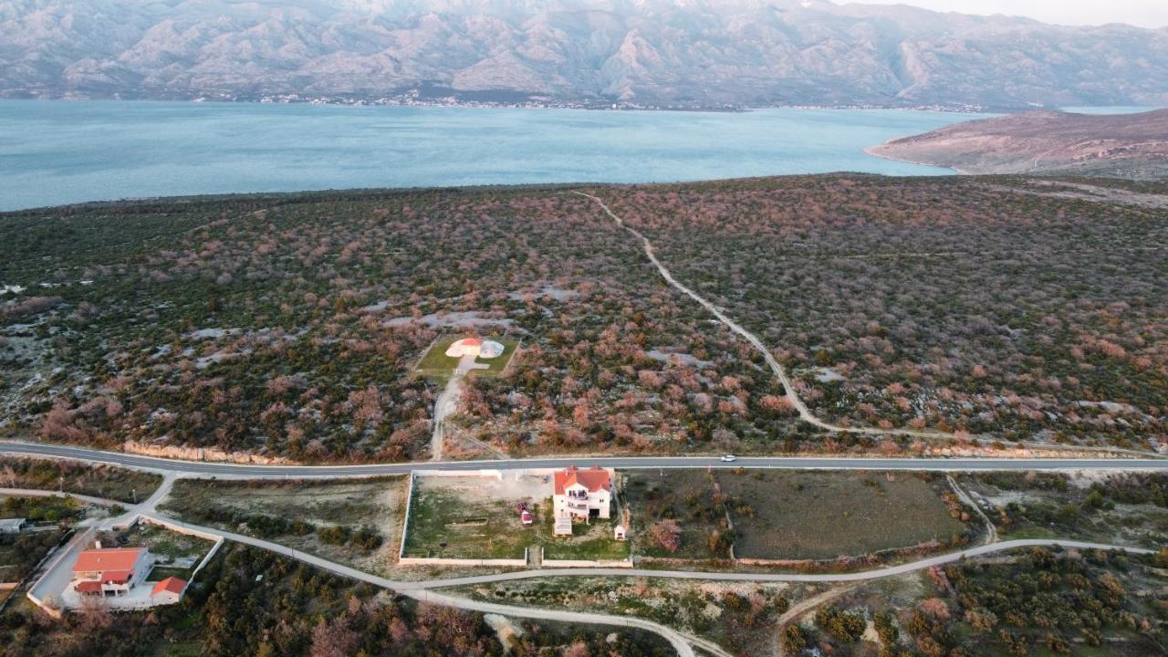 Apartmani Niko Zadar Dış mekan fotoğraf